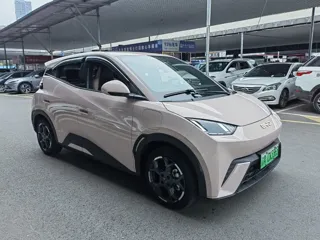 BYD Seagull 2024 купить из Китая, цена 1 308 000 ₽ — Suifenhe Auto