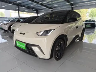 BYD Seagull 2025 купить из Китая, цена 1 444 000 ₽ — Suifenhe Auto
