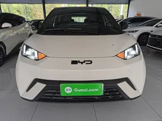 BYD Seagull 2025 купить из Китая, цена 1 444 000 ₽ — Suifenhe Auto