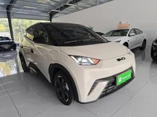 BYD Seagull 2025 купить из Китая, цена 1 444 000 ₽ — Suifenhe Auto