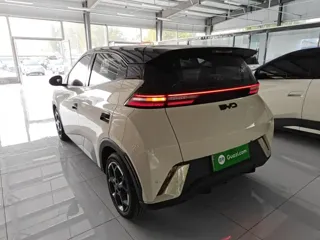 BYD Seagull 2025 купить из Китая, цена 1 444 000 ₽ — Suifenhe Auto