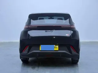 BYD Seagull 2025 купить из Китая, цена 1 383 000 ₽ — Suifenhe Auto
