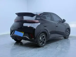 BYD Seagull 2025 купить из Китая, цена 1 383 000 ₽ — Suifenhe Auto