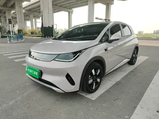 BYD Dolphin 2026 купить из Китая, цена 2 947 000 ₽ — Suifenhe Auto