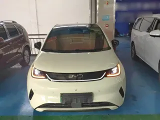 BYD Dolphin 2025 купить из Китая, цена 2 785 000 ₽ — Suifenhe Auto
