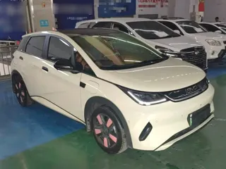 BYD Dolphin 2025 купить из Китая, цена 2 785 000 ₽ — Suifenhe Auto
