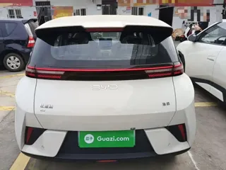 BYD Seagull 2026 купить из Китая, цена 1 527 000 ₽ — Suifenhe Auto