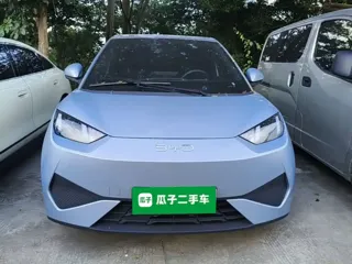BYD Seagull 2025 купить из Китая, цена 1 521 000 ₽ — Suifenhe Auto