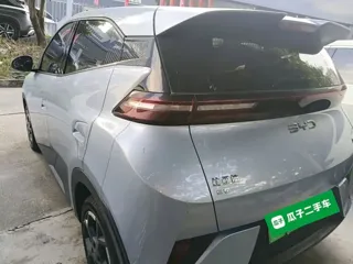 BYD Seagull 2025 купить из Китая, цена 1 521 000 ₽ — Suifenhe Auto