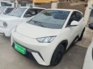 BYD Seagull 2024 купить из Китая, цена 1 293 000 ₽ — Suifenhe Auto