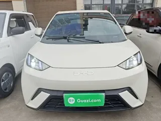 BYD Seagull 2024 купить из Китая, цена 1 293 000 ₽ — Suifenhe Auto