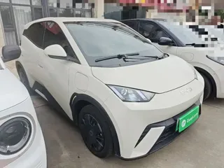BYD Seagull 2024 купить из Китая, цена 1 293 000 ₽ — Suifenhe Auto