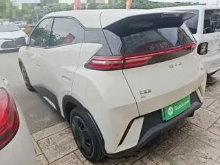 BYD Seagull 2024 купить из Китая, цена 1 293 000 ₽ — Suifenhe Auto