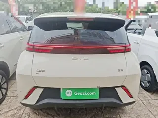 BYD Seagull 2024 купить из Китая, цена 1 293 000 ₽ — Suifenhe Auto