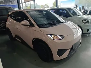 BYD Seagull 2025 купить из Китая, цена 1 402 000 ₽ — Suifenhe Auto