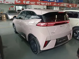 BYD Seagull 2025 купить из Китая, цена 1 402 000 ₽ — Suifenhe Auto