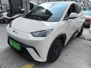 BYD Seagull 2025 купить из Китая, цена 1 420 000 ₽ — Suifenhe Auto