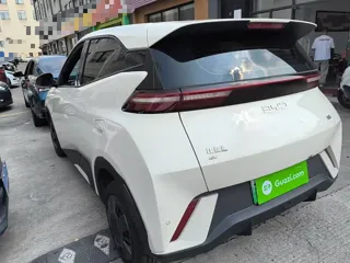 BYD Seagull 2025 купить из Китая, цена 1 420 000 ₽ — Suifenhe Auto
