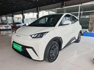 BYD Seagull 2024 купить из Китая, цена 1 321 000 ₽ — Suifenhe Auto