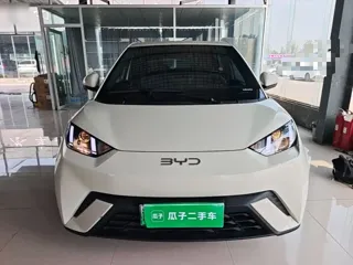 BYD Seagull 2024 купить из Китая, цена 1 321 000 ₽ — Suifenhe Auto