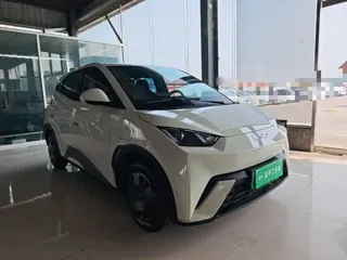 BYD Seagull 2024 купить из Китая, цена 1 321 000 ₽ — Suifenhe Auto