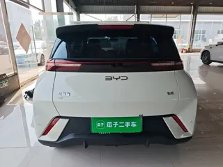 BYD Seagull 2024 купить из Китая, цена 1 321 000 ₽ — Suifenhe Auto