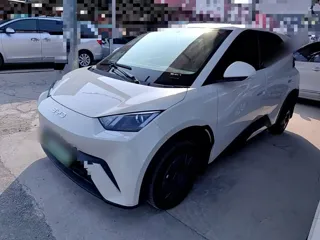 BYD Seagull 2025 купить из Китая, цена 1 326 000 ₽ — Suifenhe Auto