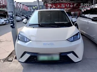 BYD Seagull 2025 купить из Китая, цена 1 326 000 ₽ — Suifenhe Auto