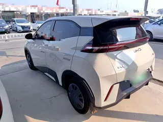 BYD Seagull 2025 купить из Китая, цена 1 326 000 ₽ — Suifenhe Auto