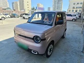 Galaxy Panda 2025 купить из Китая, цена 1 044 000 ₽ — Suifenhe Auto