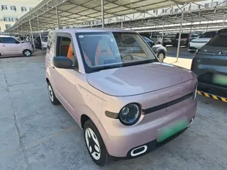 Galaxy Panda 2025 купить из Китая, цена 1 044 000 ₽ — Suifenhe Auto