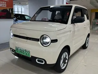 Galaxy Panda 2025 купить из Китая, цена 994 000 ₽ — Suifenhe Auto