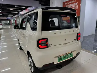 Galaxy Panda 2025 купить из Китая, цена 994 000 ₽ — Suifenhe Auto
