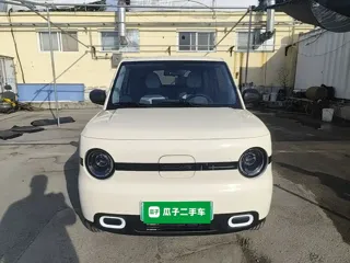 Galaxy Panda 2025 купить из Китая, цена 1 009 000 ₽ — Suifenhe Auto