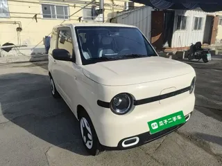 Galaxy Panda 2025 купить из Китая, цена 1 009 000 ₽ — Suifenhe Auto