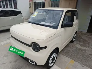 Galaxy Panda 2026 купить из Китая, цена 1 079 000 ₽ — Suifenhe Auto
