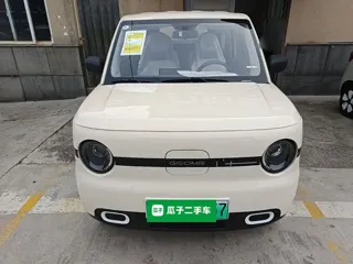 Galaxy Panda 2026 купить из Китая, цена 1 079 000 ₽ — Suifenhe Auto