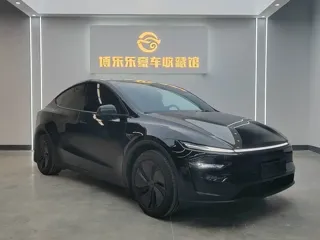 Tesla Model Y 2026 купить из Китая, цена 6 132 000 ₽ — Suifenhe Auto