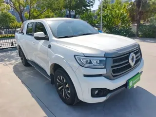 Great Wall Pao 2024 купить из Китая, цена 4 752 000 ₽ — Suifenhe Auto