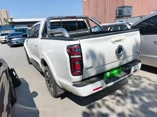 Great Wall Pao 2024 купить из Китая, цена 4 752 000 ₽ — Suifenhe Auto