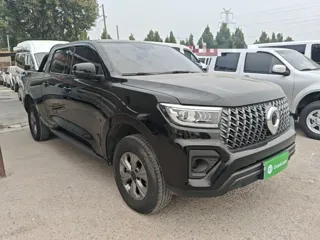Great Wall Pao 2026 купить из Китая, цена 5 394 000 ₽ — Suifenhe Auto