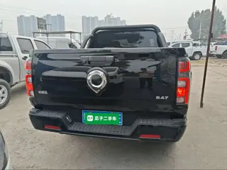 Great Wall Pao 2026 купить из Китая, цена 5 394 000 ₽ — Suifenhe Auto