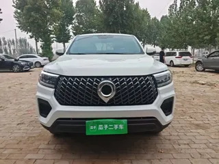 Great Wall Pao 2025 купить из Китая, цена 4 764 000 ₽ — Suifenhe Auto