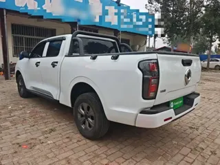 Great Wall Pao 2025 купить из Китая, цена 4 764 000 ₽ — Suifenhe Auto