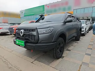 Great Wall Pao 2026 купить из Китая, цена 6 128 000 ₽ — Suifenhe Auto
