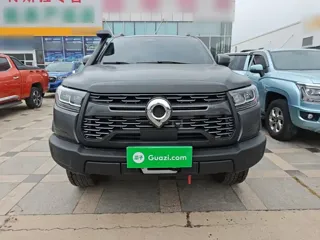 Great Wall Pao 2026 купить из Китая, цена 6 128 000 ₽ — Suifenhe Auto