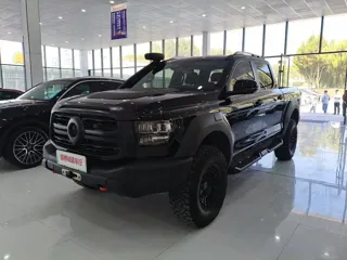 Great Wall Shanhai Pao Hi4-T 2025 купить из Китая, цена 5 756 000 ₽ — Suifenhe Auto