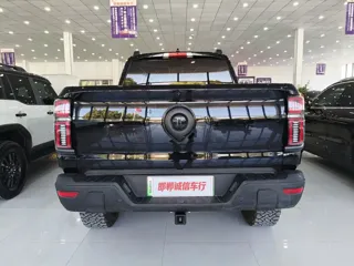 Great Wall Shanhai Pao Hi4-T 2025 купить из Китая, цена 5 756 000 ₽ — Suifenhe Auto