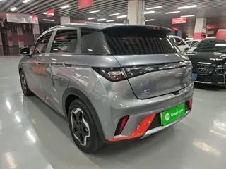BYD Dolphin 2022 купить из Китая, цена 1 426 000 ₽ — Suifenhe Auto