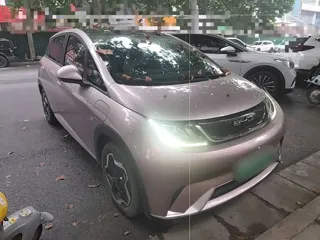 BYD Dolphin 2022 купить из Китая, цена 1 446 000 ₽ — Suifenhe Auto